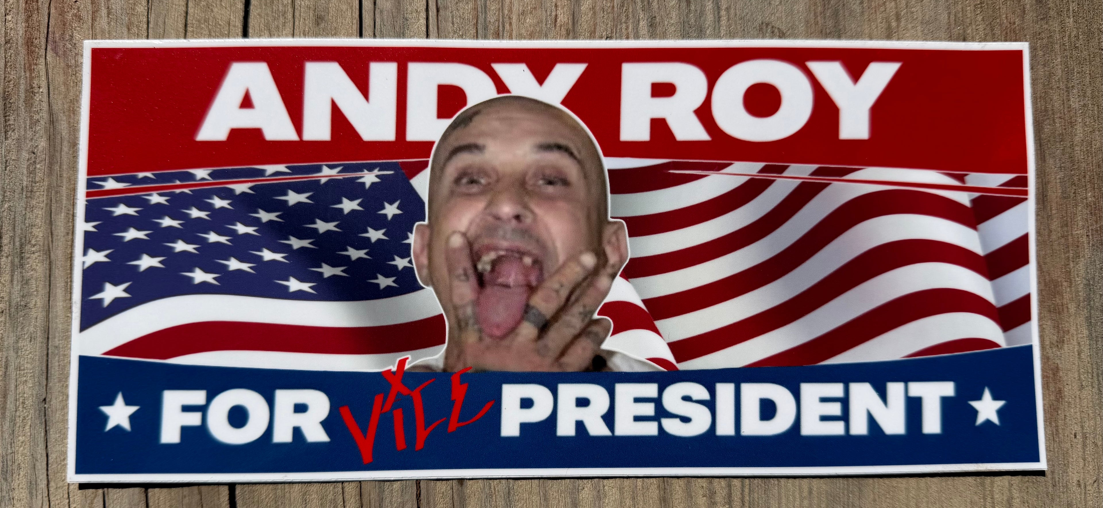 Andy for VP sticker